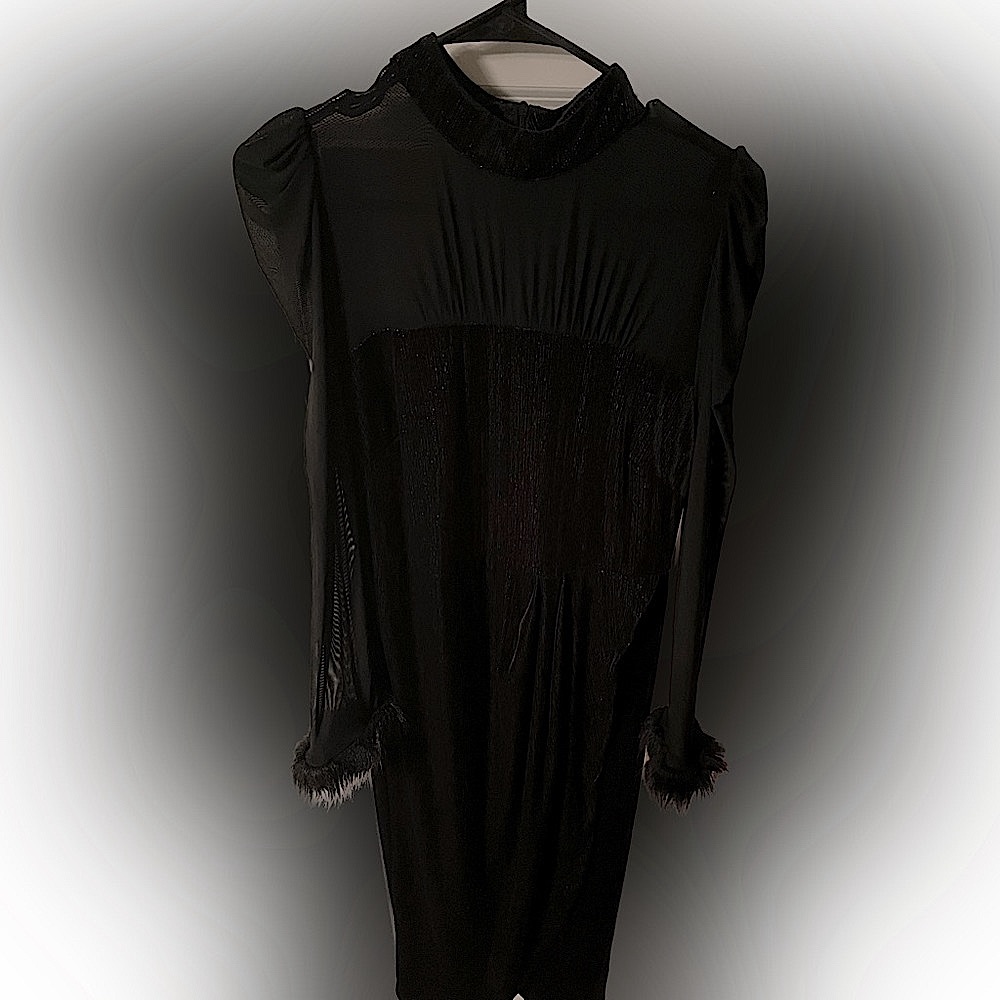 Velvet black dress with fur sleeves